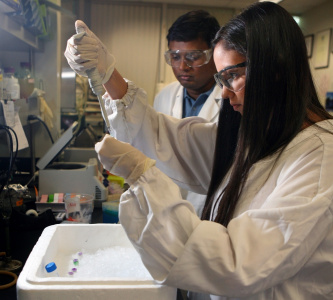 A student working in a laboratory.
